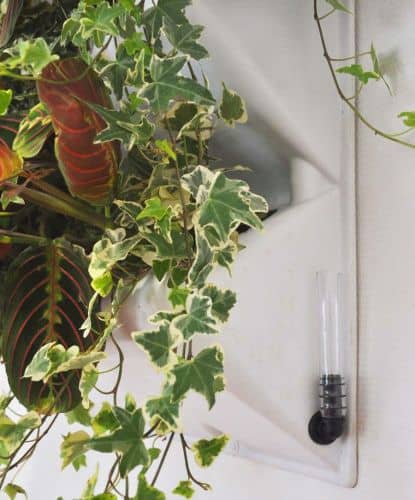 Купить Вертикальный сад BOXSAND белый 60х60 см, 1 секция по низкой цене