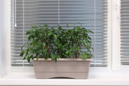 Купить Ящик ГарденПласт №1 балконный для цветов 6 л по низкой цене