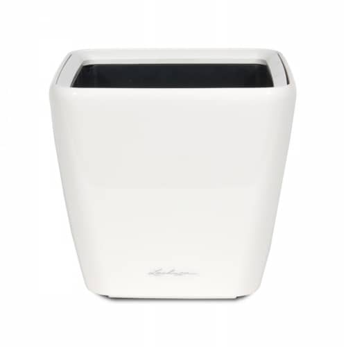 Купить Кашпо Lechuza Quadro LS Complete white high gloss 43x43x40 см по низкой цене