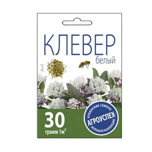 Купить Газон Агроуспех Клевер Белый по низкой цене