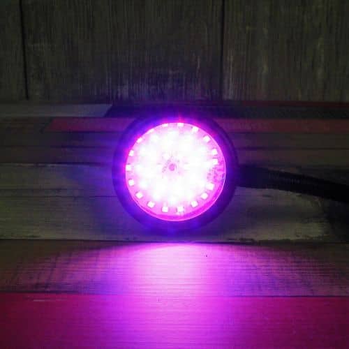 Купить Фитосветильник Luxury Plants LED светодиодный, 6 Вт по низкой цене