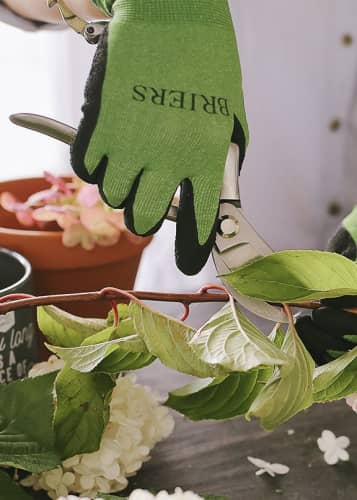 Купить Секатор флориста Sophie Conran Burgon & Ball по низкой цене