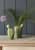 ваза «кактус», s indoor pots collection burgon & ball Купить Ваза «Кактус», S Indoor Pots Collection Burgon & Ball по низкой цене