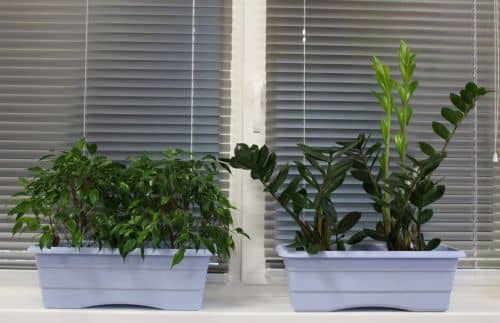 Купить Ящик ГарденПласт №1 балконный для цветов 6 л по низкой цене