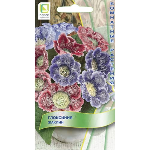 Купить Глоксиния Жаклин по низкой цене