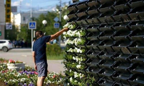 Купить Вертикальный сад BOXSAND озеленение города по низкой цене