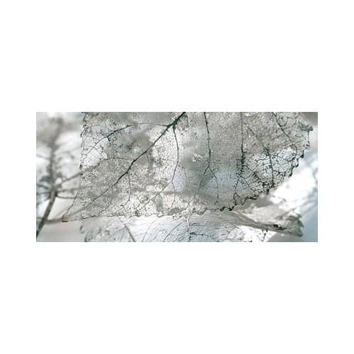 Купить Декор настенный Магия 61 071-1 23х50 см по низкой цене