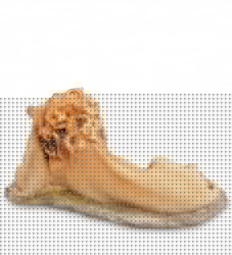 Купить Статуэтка Veronese Лев с детенышем WS-701 по низкой цене