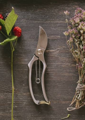 Купить Секатор флориста Sophie Conran Burgon & Ball по низкой цене