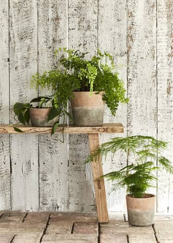 Купить Кашпо из терракоты Indoor Pots Collection Burgon & Ball по низкой цене