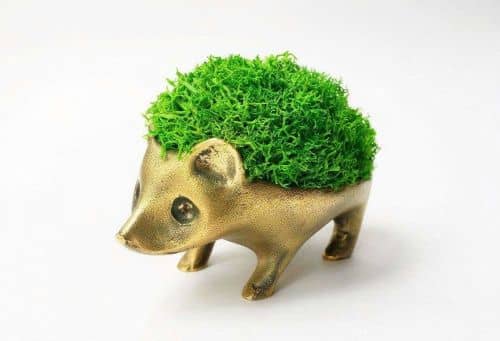 Купить Горшок BOXSAND Ежик по низкой цене