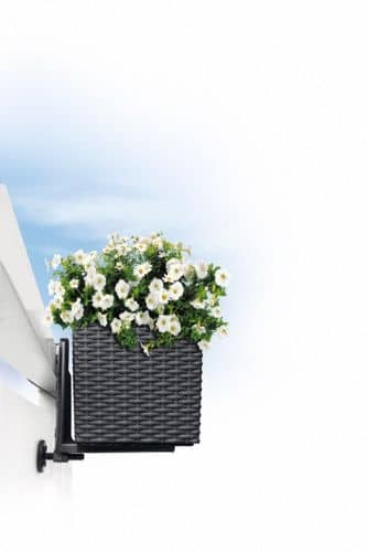 Купить Кашпо Lechuza Balconera Cottage 80 см по низкой цене