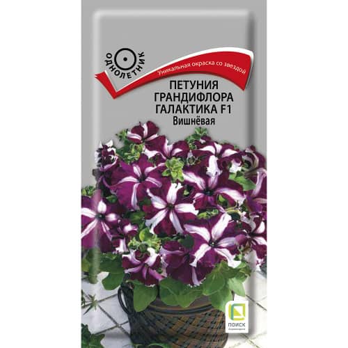 Купить Петуния грандифлора Галактика F1 Вишневая по низкой цене